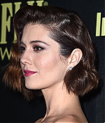 037.jpg