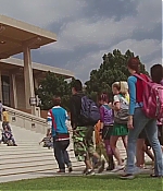 AMEW-SH013.jpg