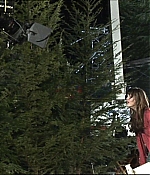 117.jpg