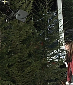 118.jpg
