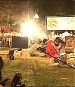 175.jpg