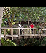 AMEW-224.jpg