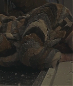 AMEW307-271.jpg