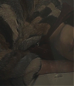 AMEW307-274.jpg