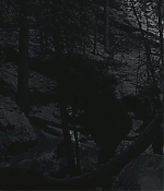 AMEW308-047.jpg