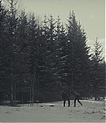 AMEW308-103.jpg