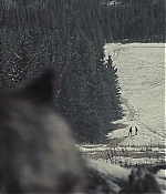 AMEW308-113.jpg