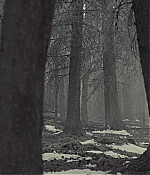 AMEW308-137.jpg