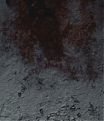 AMEW308-263.jpg